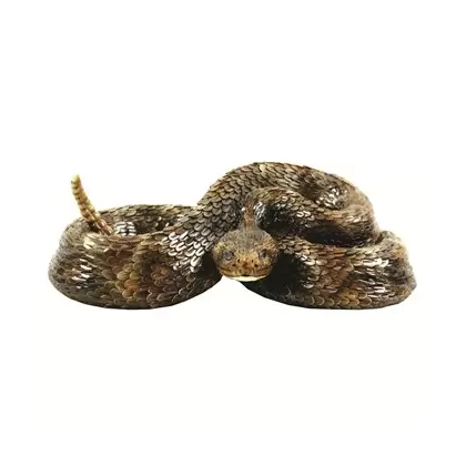 MCarr Western Diamond Back Small Snake