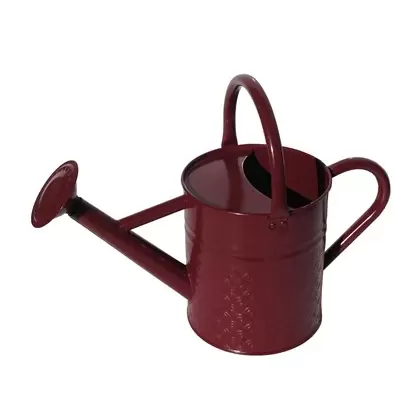 Gardener Select 2.4L .63G Watering Can Merlot
