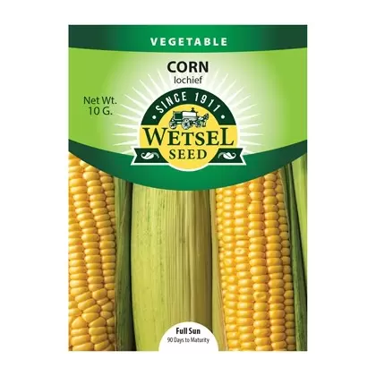 Corn, Iochief Treated - 10 Gram