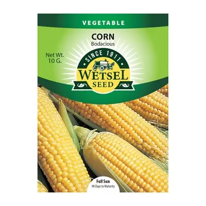 Corn, Bodacious Sweet - 10 Gram