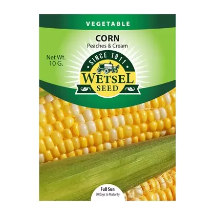 Corn, Peaches & Cream - 10 Gram