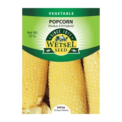 Popcorn, Perdue 410 Hybrid - 10 Gram
