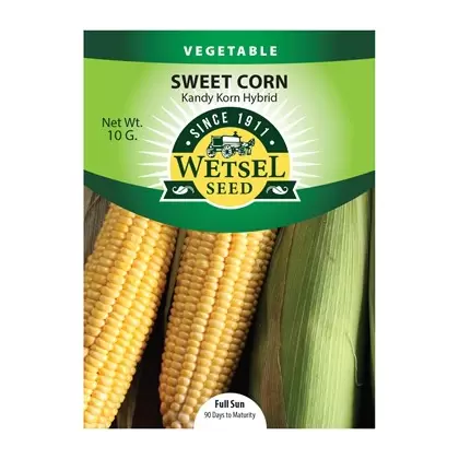Corn, Kandy Eh - 10 Gram