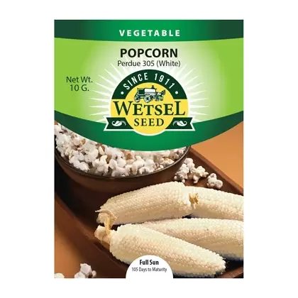 Popcorn, Perdue 305 White - 10 Gram