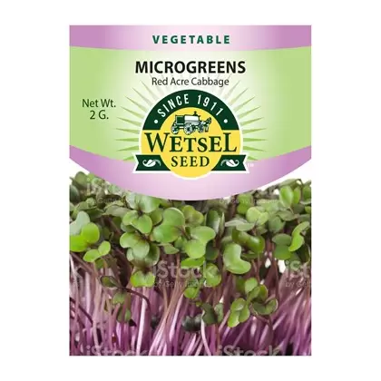 Microgreens, Red Acre Cabbage - 2 Gram