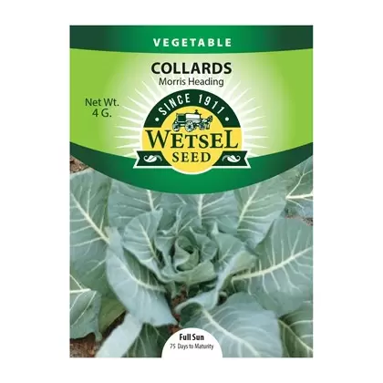 Collards, Morris Heading - 4 grams