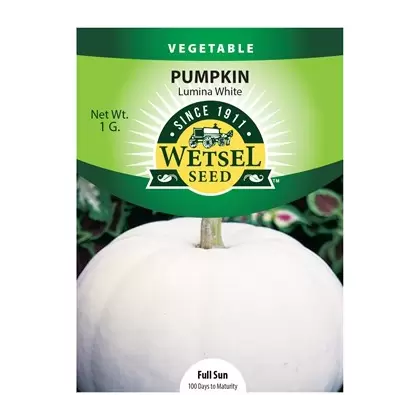 Pumpkin, Lumina White - 1 Gram