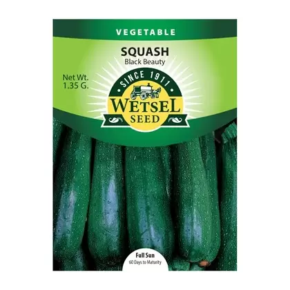 SQUASH, BLACK BEAUTY 1.35 G