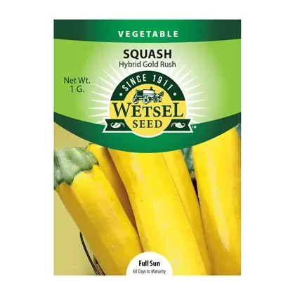 Squash, Gold Rush - 1 Gram
