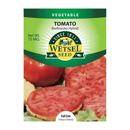 Tomato, Beefmaster - 75 MG