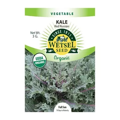 ORGANIC RED RUSSIAN KALE 3G PKT