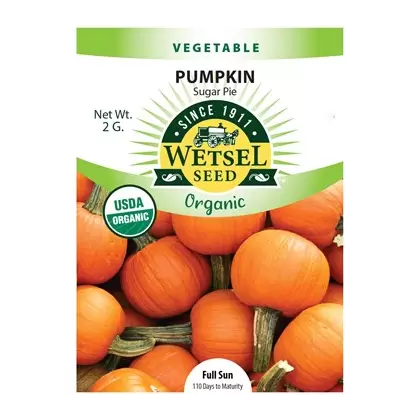 Organic Sugar Pie Pumpkin - 2 Gram