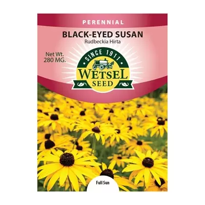 DAISY, RUDBECKIA HIRTA 280 MG