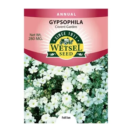 GYPSOPHILA, COVENT GDN. 280 MG