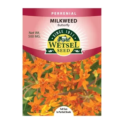 Milkweed, Butterfly - 500 mg