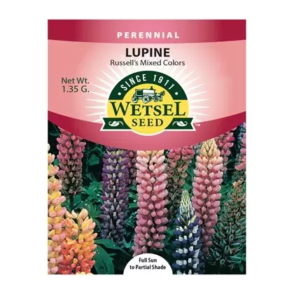 LUPINE, RUSSELL'S MIX 1.35 G