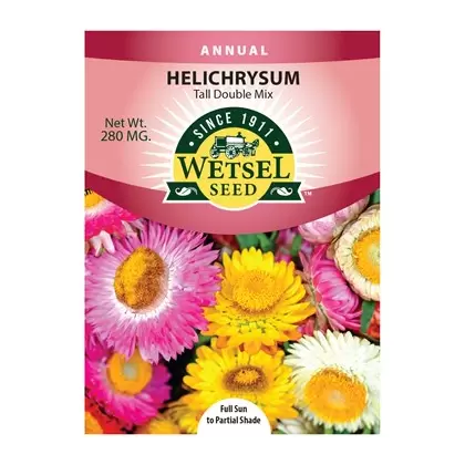 HELICHRYSUM, TALL DB MX 280 MG