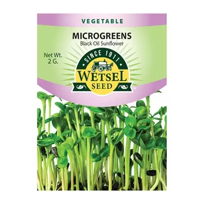 Microgreens, Black Oil Sunflower - 2 Gram