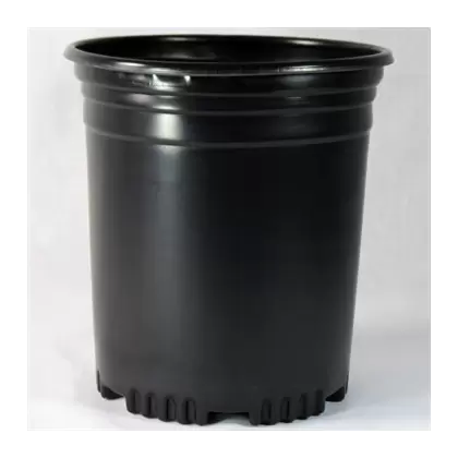 NS PF310 PS, TRADE SIZE 1 GALLON, .65 GALLON, BLACK 80/BD 92/TOWER (6-1/8"X7"), 1Gallon