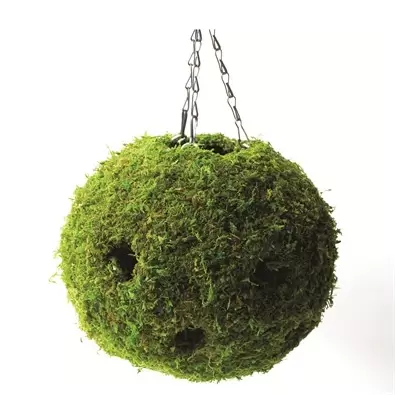 SuperMoss 12" Woven Moss Ball Planter