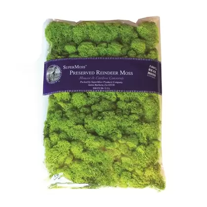 SuperMoss 8oz Reindeer Moss Chartreuse