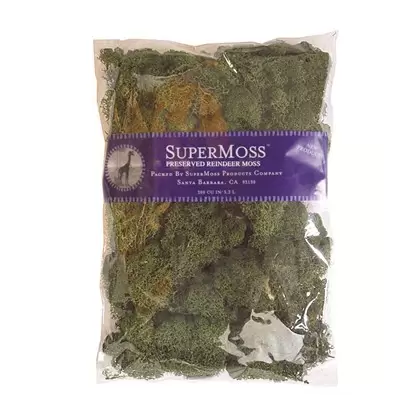 SuperMoss 8oz Reindeer Moss Forest Green