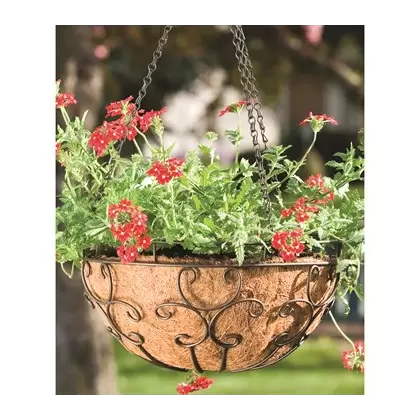 Panacea 14" Cameo Series Hanging Basket