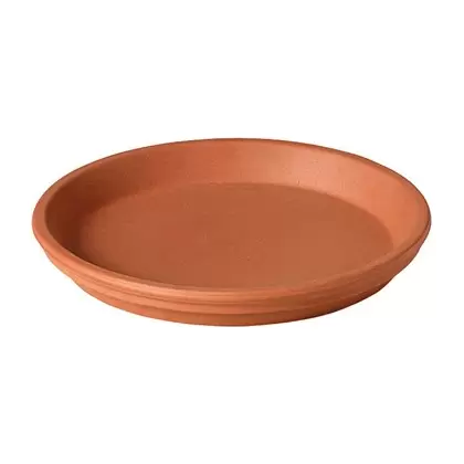 Deroma 9.8" Saucer Terra Cotta Clay Case Pack
