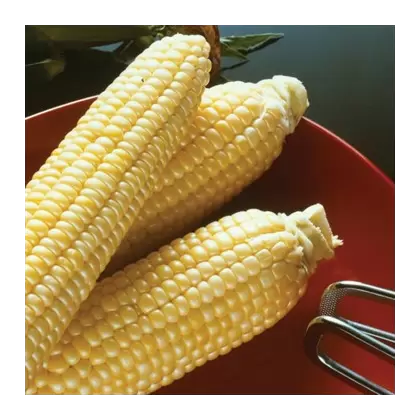 Corn, Sugar Buns Sweet - 25lb