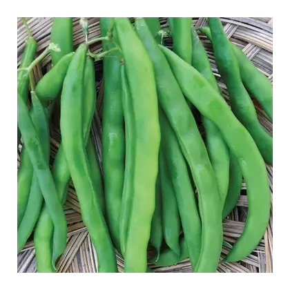 Beans, White Half Runner - 1/2lb
