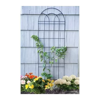 Panacea 72" Classic Trellis Black 4/CS