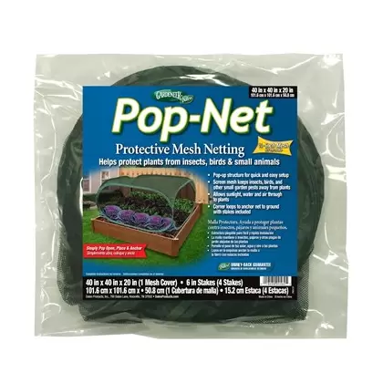 Dalen 40"x40"x20" Pop-Up Mesh Net