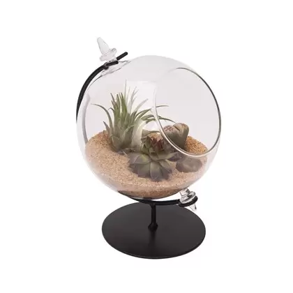 Panacea 4"D Desktop Glass Terrarium Planter With Metal Stand