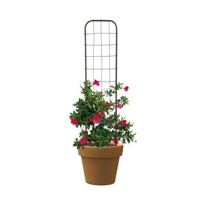 Panacea 48" Rustic Woven Pot Trellis Rust
