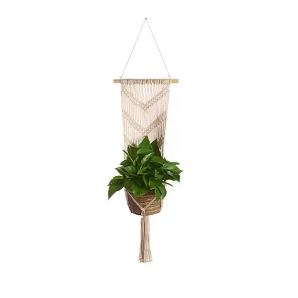 Primitive Large Wall Planter V