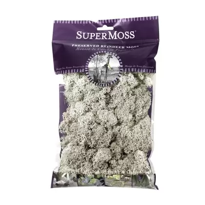 SuperMoss 2oz Reindeer Moss Natural