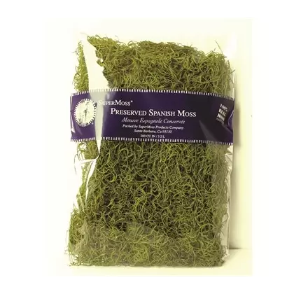 SuperMoss 8oz Spanish Moss Preserved Basil