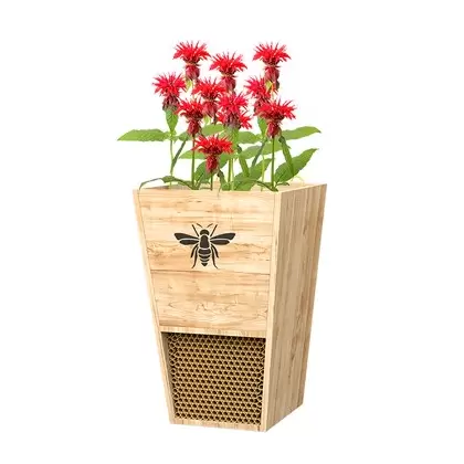 Woodlink Cedar Mason Bee House & Planter