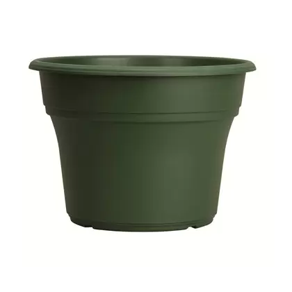 HC 10" Panterra Pot Green Akro Mils