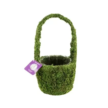 SuperMoss 4" Drop Deco Basket Vista Fresh Green