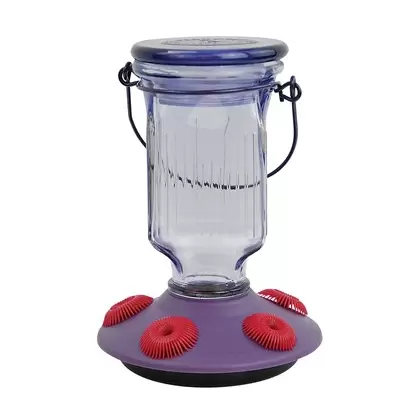 Perky Pet 16oz Glass Top Fill Hummingbird Feeder Lavender Field