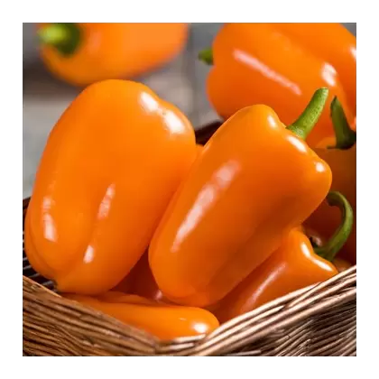 Peppers, Orange Blaze Treated - 100 Seed Count