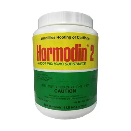 OHP Hormodin