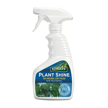 Schultz 12oz Liquid Plant Shine