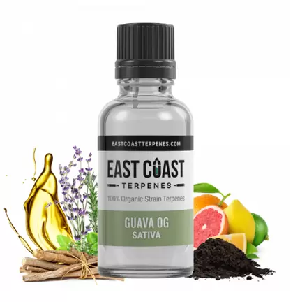 Guava OG Terpene Profile Wax Liquidizer (Sativa)
