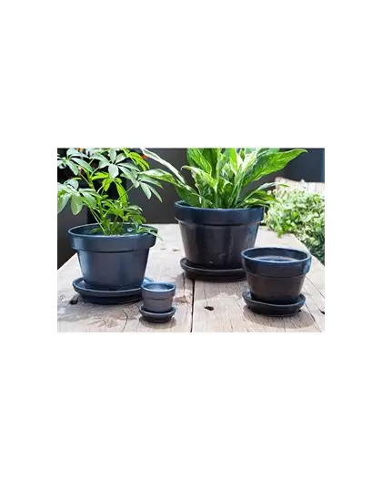 Verandah 5.5x4.5 Silver Standard with Saucer