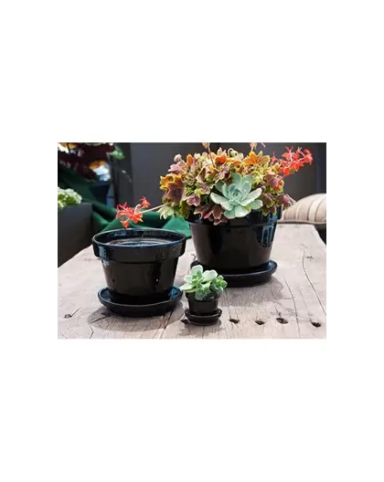 Verandah 2.5 Square Standard with Saucer Black