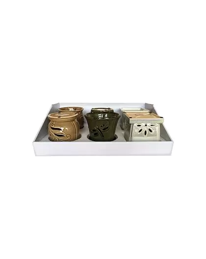 Southern Patio 6pc Orchid Pot Mixed Color Assortment