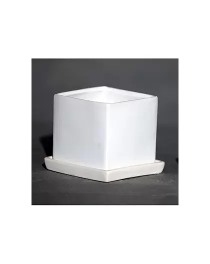 Palm Spring 4.5" Cube Pot with Ds Mwh
