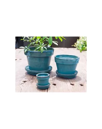 Verandah 5.5x4.5 Jade Standard with Saucer